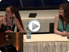 GalaCon 2014 - EU VA Q&A Panel (4k)